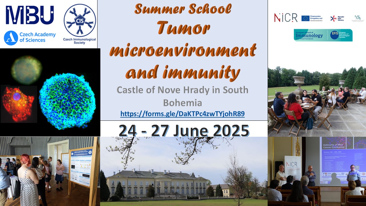 Summer School